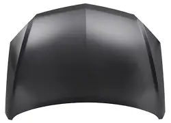 Steel Bonnet