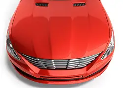 Painted Vented Bonnet