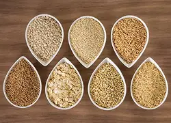 Bowled Whole Grain Cereals